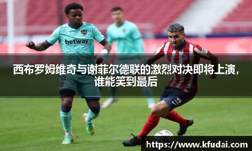 星空.综合体育(中国)官方网站